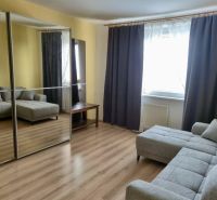 Living room of a three-room apartment with a gray sofa, built-in wardrobe, and floor with wood decor.