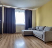 Bright living room with wood-patterned flooring and a gray sofa in a three-room apartment.