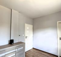 A room with a wooden decor floor, white doors, and a storage cabinet.