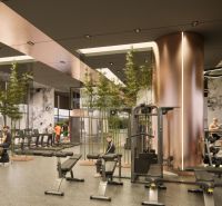 A gym in a recreational apartment with modern equipment and greenery in the interior.