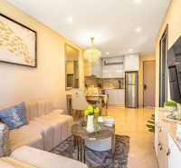 Recreational apartment with a comfortable living room, kitchenette, and elegant decor.