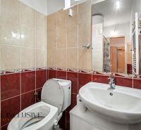 A bathroom in a family house with a toilet and a sink, tiled with red and beige tiles.