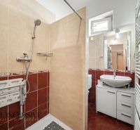 A bathroom in a family house with a cornice shower, sink, and bidet.