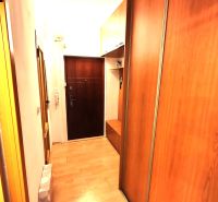 A hallway with a wooden decor floor and built-in wardrobes in a studio apartment.