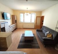 Living room in a studio apartment with a sofa, furniture, and flooring with a wooden decor.