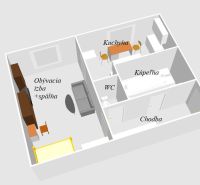 Floor plan of a 1-bedroom apartment with a kitchen, living room and bedroom, bathroom, and toilet.
