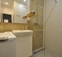 A bathroom with a shower, sink, and washing machine in a 2-room apartment.