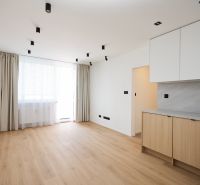 A room in a 2-room apartment with a floor featuring a wooden decor and a kitchen unit.