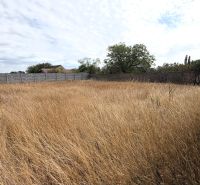 A family house in Nickelsdorf with a large fenced plot overgrown with dry grass.