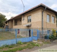 A family house in Nižné Ladičkovce with a blue fence and a garden.