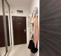 A hallway with a built-in mirrored wardrobe in a 3-room apartment.