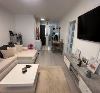 Living room with wood-patterned flooring in a 3-room apartment, with a sofa and a television.