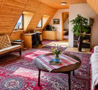 A cozy living room in a cabin with a wooden decor floor and carpets.