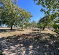 Plots in Dulov with trees on Dulovska Street; suitable for living.