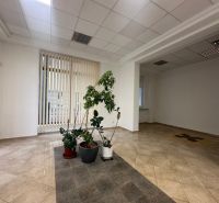 Commercial premises with plants and paving, suitable on Lazaretská in Bratislava - Staré Mesto.