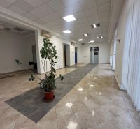 Spacious commercial spaces with tiles and a houseplant.