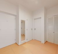 White hallway with a mirror, wardrobe, and tiles in a 4-room apartment.