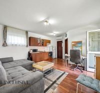 Living room with kitchen, sofa, and wooden decor flooring in a family house.