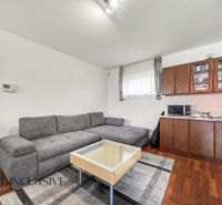 Living room with a sofa, kitchen unit, and wooden-patterned floor in a family house.