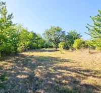 A grassy area surrounded by trees and shrubs in Suchá nad Parnou near the cottage.