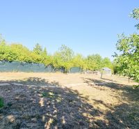 The garden at the cottage in Suchá nad Parnou with a lawn and greenery.