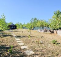 A well-maintained garden plot with a cottage in Suchá nad Parnou surrounded by greenery.