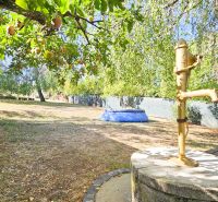 A spacious yard at the cottage in Suchá nad Parnou with a pump and trees in the garden.