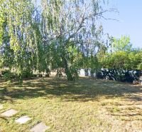 The garden of the cottage in Suchá nad Parnou with trees and a lawn illuminated by the sun.