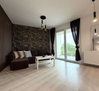 Living room in a two-room apartment with a sofa, balcony, and wooden decor flooring.