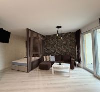 Living area of a 2-room apartment with a sofa, television, and wooden decor flooring.