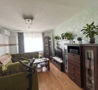 Living room of a three-room apartment with a sofa, flowers, and a wooden decor floor.