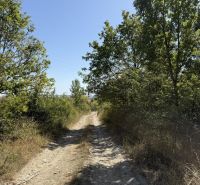 Forest road between agricultural and forest lands on Kučišdorfská Street, Pezinok.