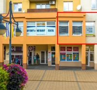 Commercial premises on Moyzesova Street in Púchov with shops and floral decorations.