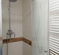 Shower corner with a designer wall and wooden decor in a 2-room apartment.