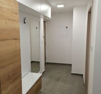 A hallway with built-in cabinets and a mirror in a 2-room apartment, flooring with a wooden decor.