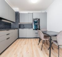 A kitchen in a 2-room apartment with a wooden decor floor and stylish furniture.