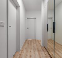 A hallway with a wooden decor floor and a built-in wardrobe in a 2-room apartment.