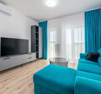 Living room with a turquoise sofa, television, and wooden decor flooring.