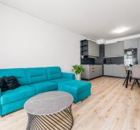 Living room with a turquoise sofa, wood-patterned flooring, and a kitchen in a two-room apartment.