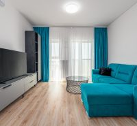 Living room in a two-room apartment with a wooden-patterned floor and a blue couch.