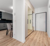 Interior of a 2-room apartment with wood-patterned flooring, built-in wardrobes, and a kitchen unit.