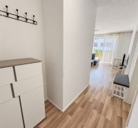The entrance hall of a 2-room apartment with furniture and flooring featuring a wood design.