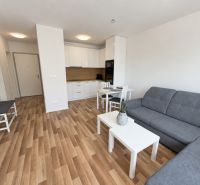 Living room of a two-room apartment with a kitchen and a wooden decor floor.