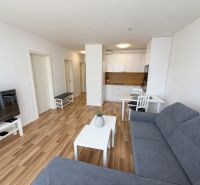 A bright living space with wood-patterned flooring in a two-room apartment.