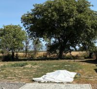 Garden of the family house on Hlavná Street in Bežovce with a lawn and trees.