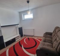 Living room in a two-room apartment with a sofa, red carpet, and furniture.