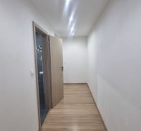A hallway with bright lighting, a wooden decor floor, and a bathroom door.