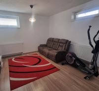 Living room in a two-room apartment with a sofa, exercise bike, and wooden decor flooring.