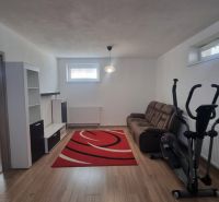 Living room in a two-room apartment with a wooden decor floor, a red rug, and fitness equipment.
