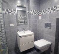 A bathroom in a 2-room apartment with tiles and a shower, modern equipment.